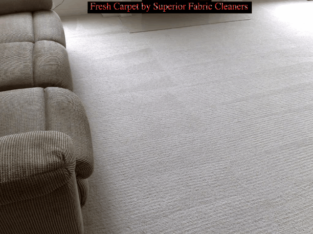 Northern Va|Fredericksburg|Prince William|Stafford Va. Best Carpet Deep Cleaning