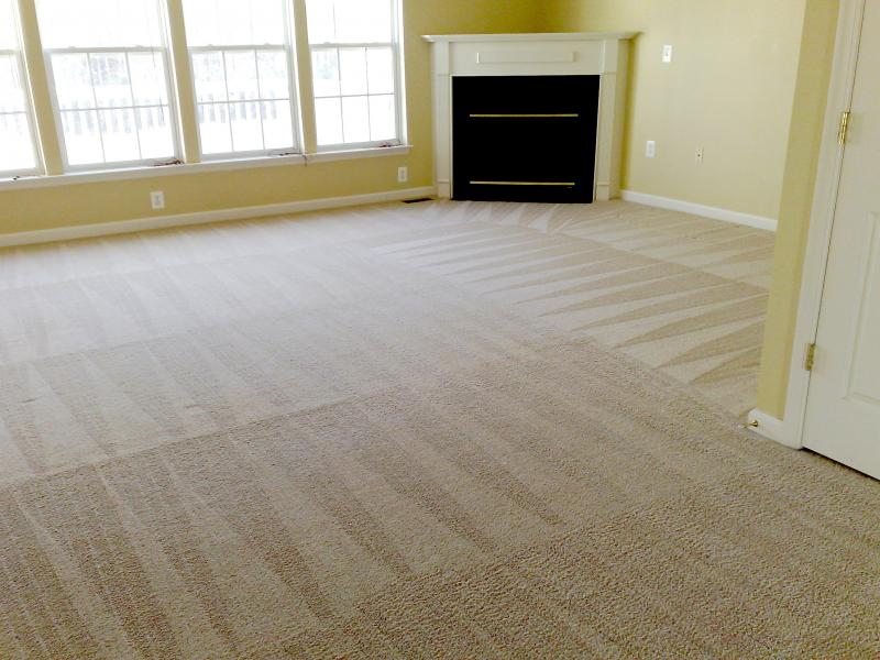 clean family carpet that sparkles afte Vortes Big Truck deep steam dry cleaning